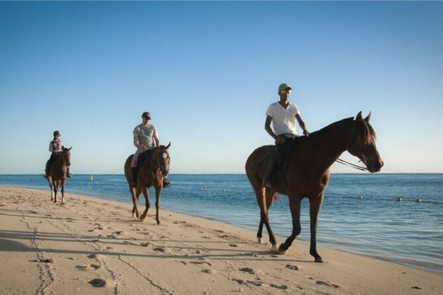 Horse Riding on the beach
